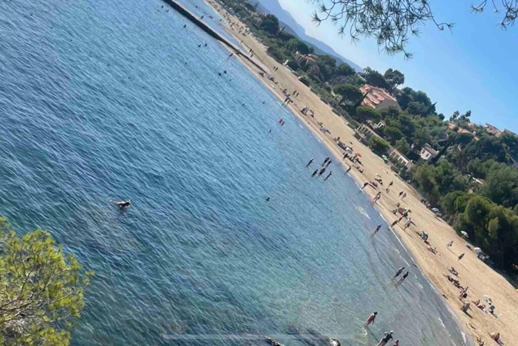 Studio Cosy Residence Odalys 3 Etoiles La Londe-les-Maures Εξωτερικό φωτογραφία