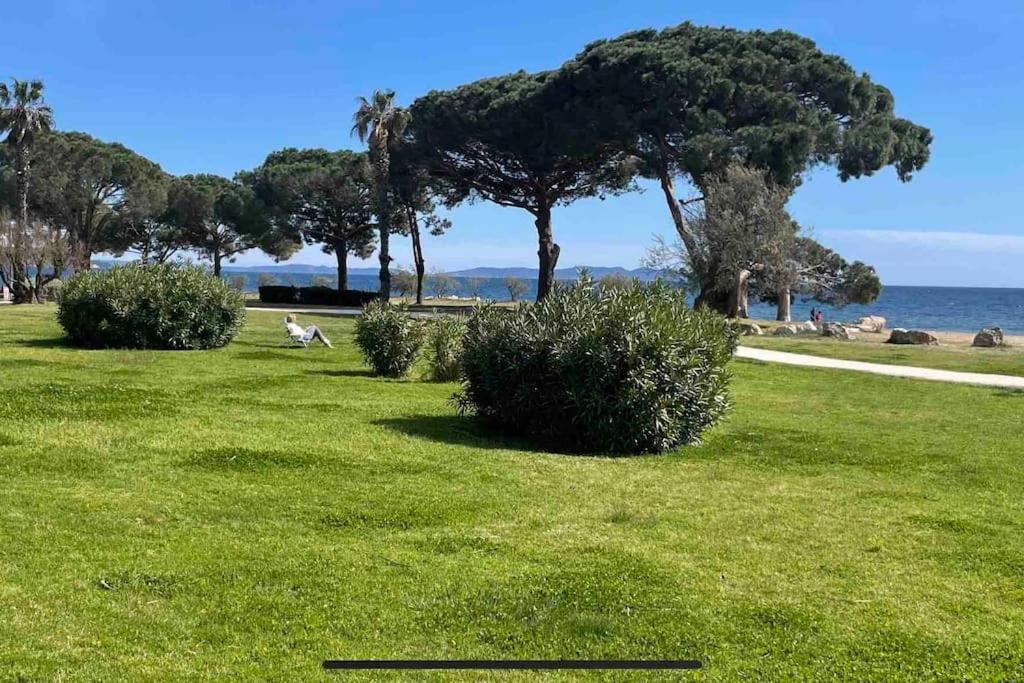 Studio Cosy Residence Odalys 3 Etoiles La Londe-les-Maures Εξωτερικό φωτογραφία
